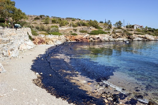 Bioremediation Materials removing contaminants.